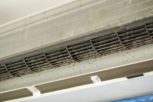 Best Air Duct Cleaning Company Near Me  in Queens, NY